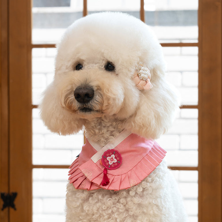 韓國新品上架【梨花娘總代理】🐾BAILEY 🐶韓系華麗宮庭風珍珠流蘇寵物髮夾(9色)