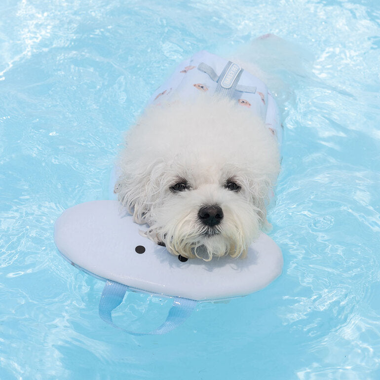 韓國新品上架【梨花娘總代理】🐾BAILEY 🐶夏日高浮力清涼透氣寵物漂浮泳衣(3色)