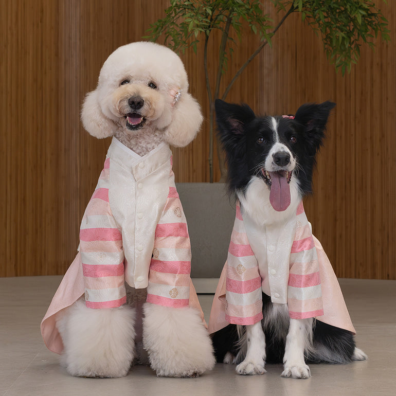 韓國新品上架【梨花娘總代理】🐾BAILEY 🐶秋冬新品 皇室尊貴刺繡流蘇寵物韓服(4色)