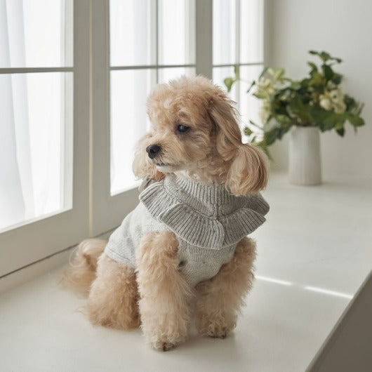 韓國新品上架【梨花娘總代理】🐾BAILEY 🐶秋冬新品 柔軟蝴蝶荷葉邊高領針織寵物服飾(3色)