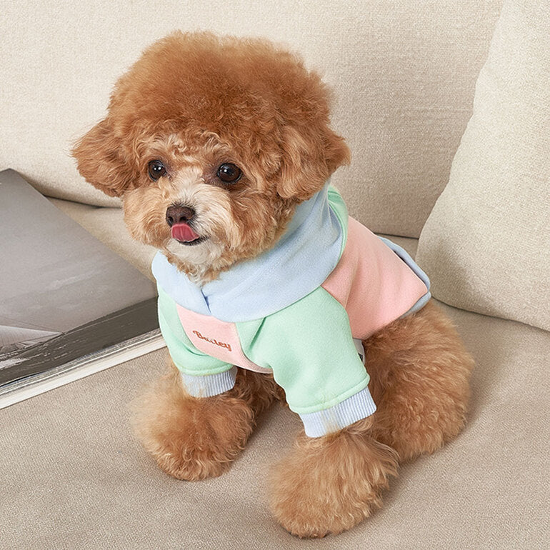 韓國新品上架【梨花娘總代理】🐾BAILEY 🐶秋冬新品 繽紛馬卡龍拼接網球保暖親膚連帽寵物服飾