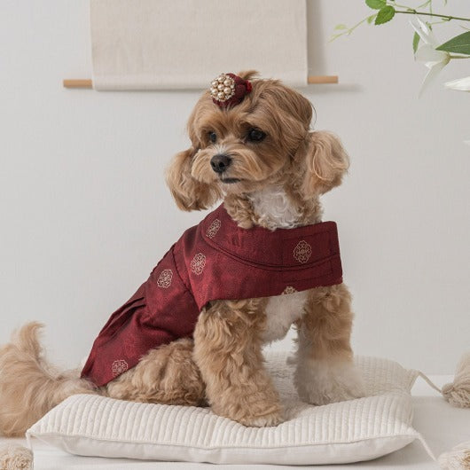 韓國新品上架【梨花娘總代理】🐾BAILEY 🐶秋冬新品 尊貴刺繡皇室龍袍寵物韓服(2色)