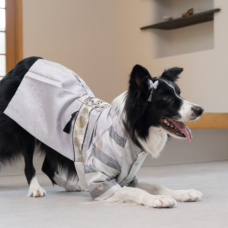 韓國新品上架【梨花娘總代理】🐾BAILEY 🐶秋冬新品 皇室尊貴刺繡流蘇寵物韓服(4色)