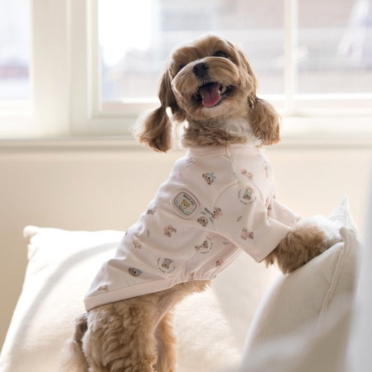 韓國新品上架【梨花娘總代理】🐾BAILEY 🐶新品 滿版小熊圖案舒適透氣寵物連身衣(3色)