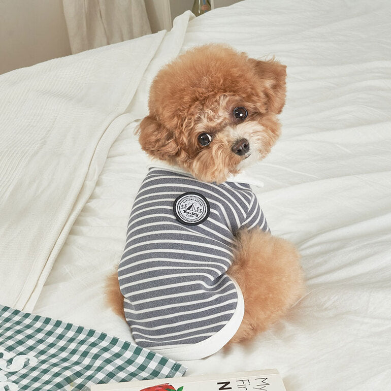 韓國新品上架【梨花娘總代理】🐾BAILEY 🐶秋冬新品 條紋翻領柔棉立體徽章刺繡寵物服飾(3色)