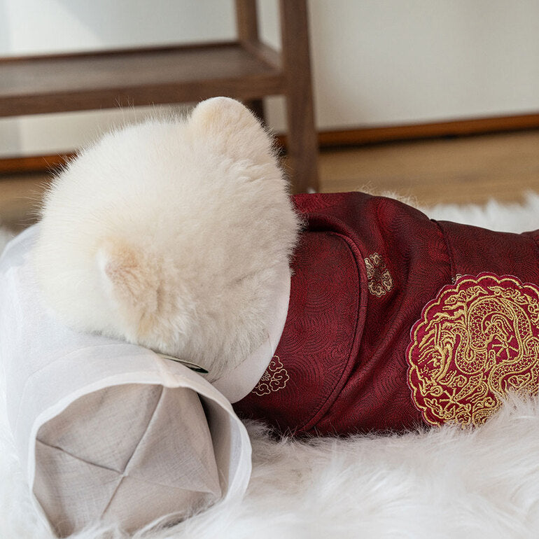 韓國新品上架【梨花娘總代理】🐾BAILEY 🐶秋冬新品 尊貴刺繡皇室龍袍寵物韓服(2色)