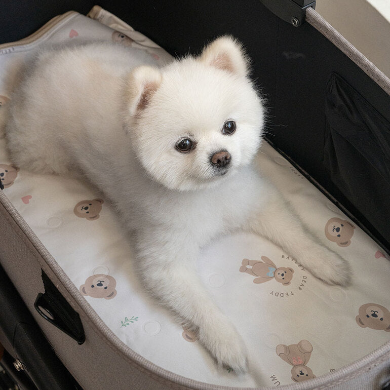韓國BAILEY💖【梨花娘總代理】夏日必備涼爽親膚降溫舒適防水滿版小熊寵物冰涼墊(3尺寸)