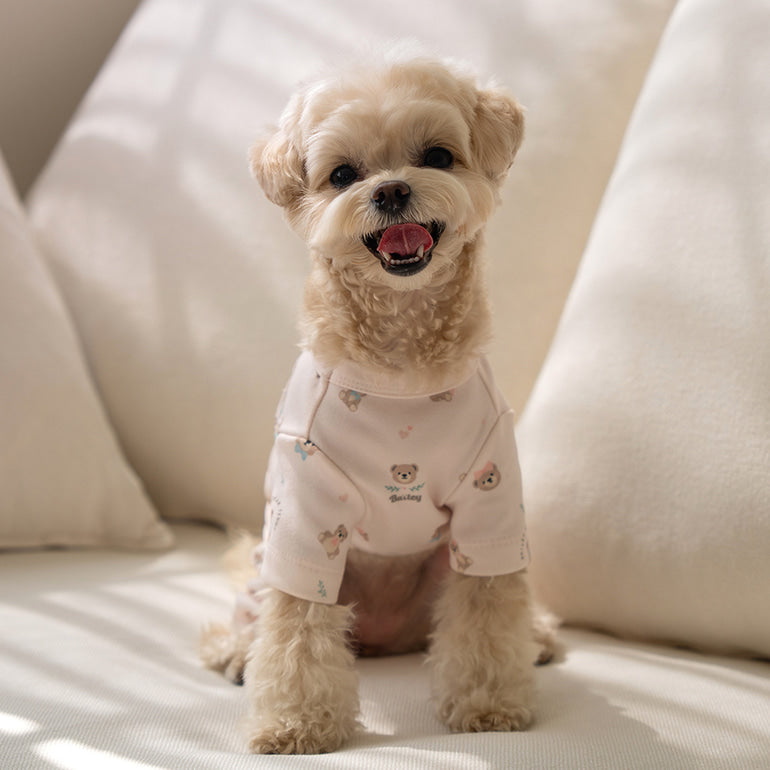 韓國新品上架【梨花娘總代理】🐾BAILEY 🐶新品 滿版小熊圖案舒適透氣寵物連身衣(3色)