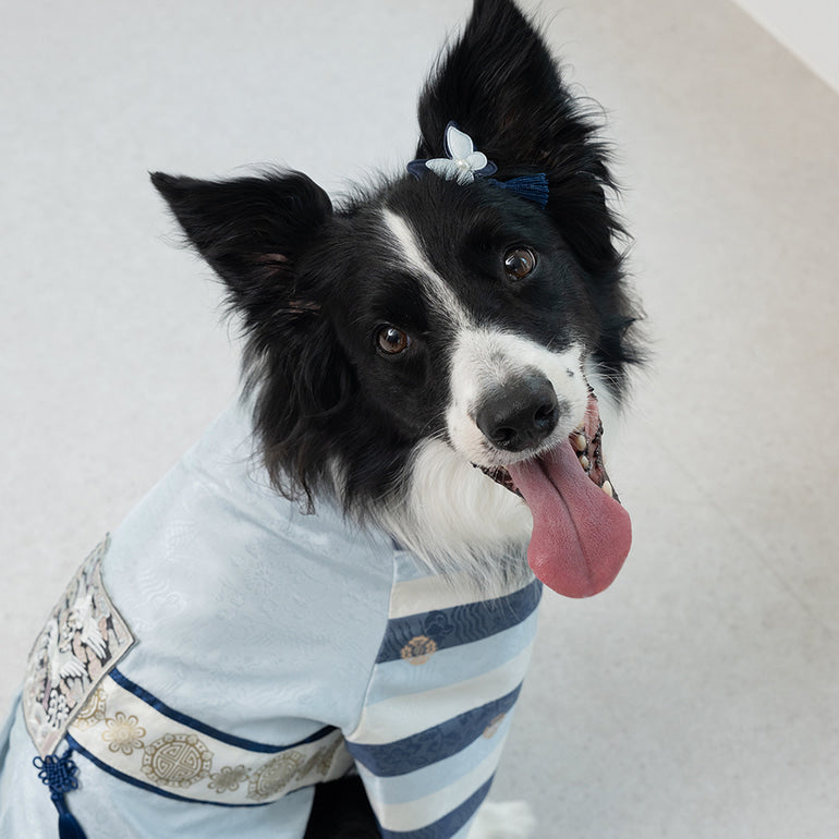 韓國新品上架【梨花娘總代理】🐾BAILEY 🐶高質感韓服頭飾流蘇古典手工寵物髮夾(7色)