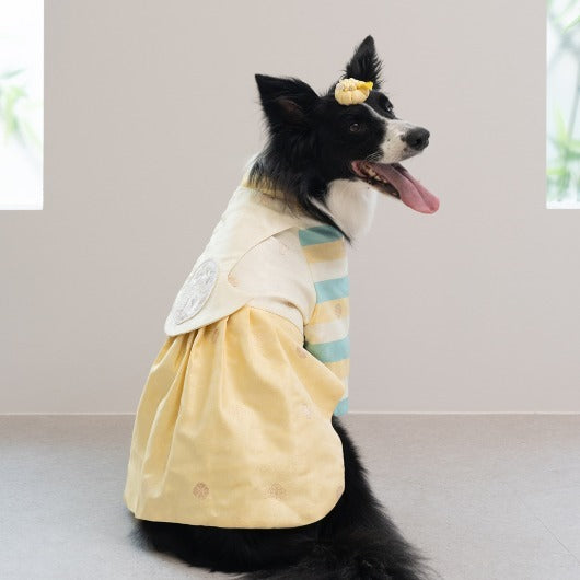 韓國新品上架【梨花娘總代理】🐾BAILEY 🐶秋冬新品 皇室公主刺繡百褶裙寵物韓服(2色)