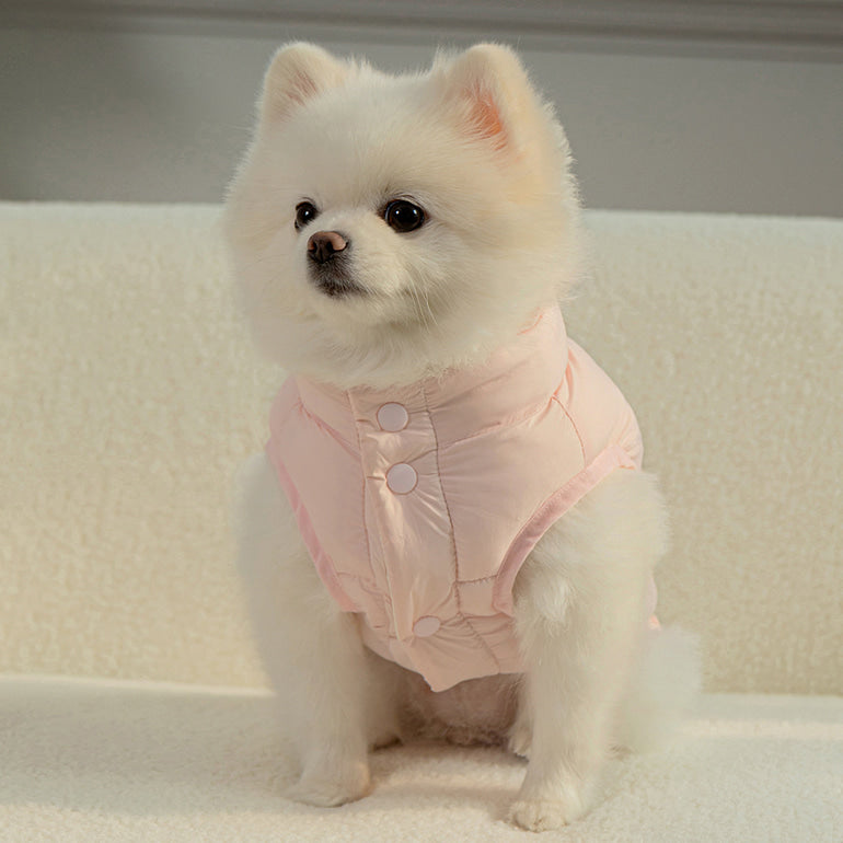 🔥新品上架【梨花娘總代理】🐈⬛BAILEY 超輕薄保暖防風腰部可調節兩面可穿搭羽絨棉寵物服(帽子另購3色) 聖誕禮物