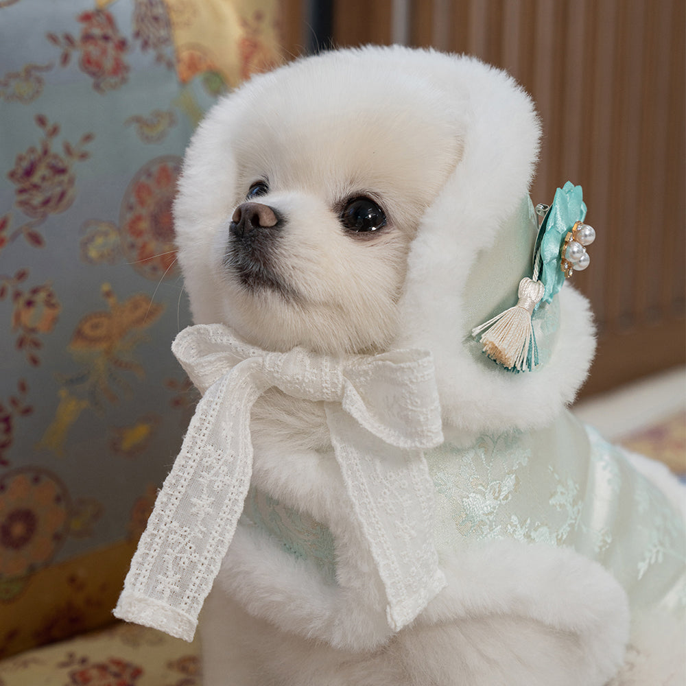 【梨花娘總代理】🐾BAILEY 🐶韓國雪花保暖鋪棉寵物宮廷刺繡棉背心(可另購耳罩(3色))