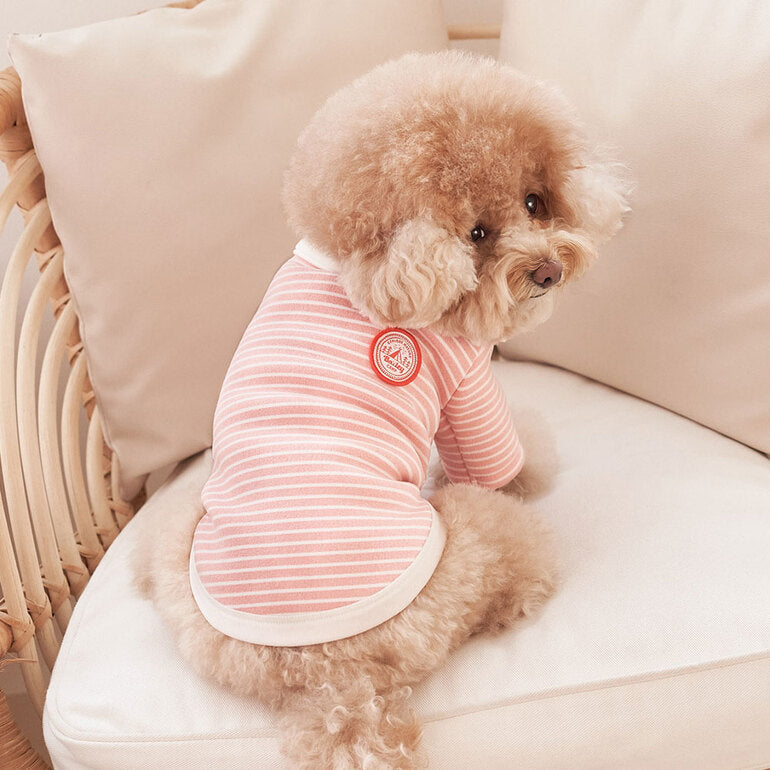 韓國新品上架【梨花娘總代理】🐾BAILEY 🐶秋冬新品 條紋翻領柔棉立體徽章刺繡寵物服飾(3色)