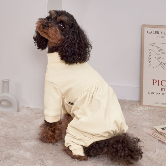 韓國新品上架【梨花娘總代理】🐾BAILEY 🐶秋冬新品 素色半高領彈性舒適柔軟寵物服飾(2色)