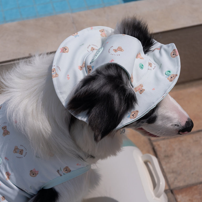 韓國BAILEY💖【梨花娘總代理】夏日必備冰絲涼降溫防蟲滿版小熊圖案寵物衣(可加購帽子)
