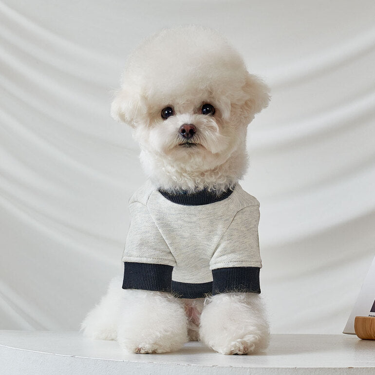 韓國新品上架【梨花娘總代理】🐾BAILEY 🐶秋冬新品 韓系潮流聯名休閒棉質寵物服飾(3色)