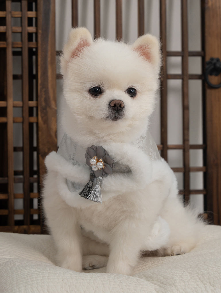 【梨花娘總代理】🐾BAILEY 🐶韓國雪花保暖鋪棉寵物宮廷刺繡棉背心(可另購耳罩(3色))