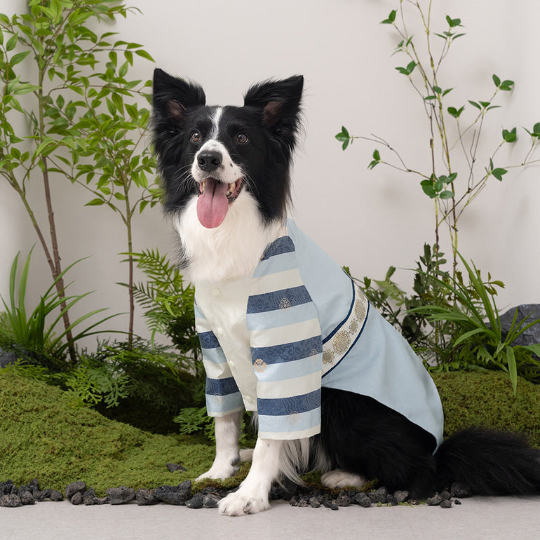 韓國新品上架【梨花娘總代理】🐾BAILEY 🐶秋冬新品 皇室尊貴刺繡流蘇寵物韓服(4色)