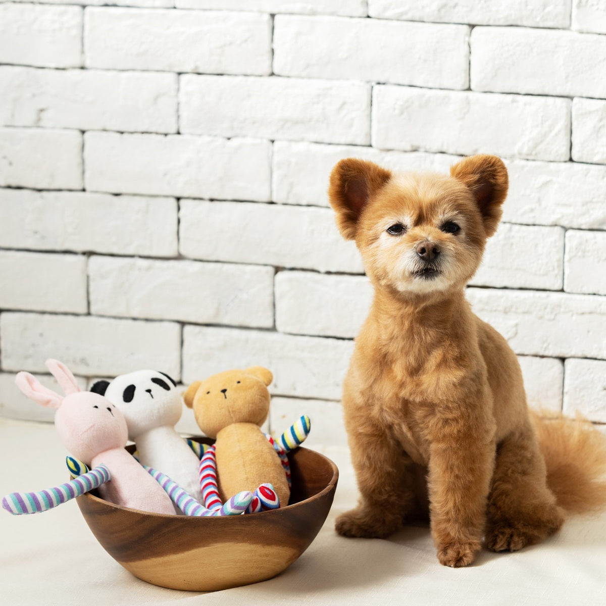 新品上架【梨花娘總代理】🐾日本品牌Solgra 嗶嗶聲響絨毛長手長腳寵物玩偶 🐶(3款)
