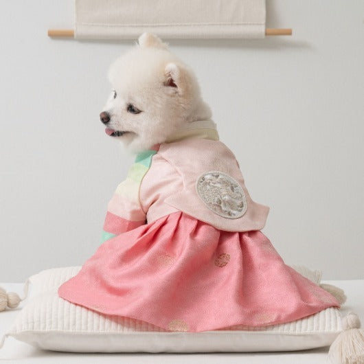 韓國新品上架【梨花娘總代理】🐾BAILEY 🐶秋冬新品 皇室公主刺繡百褶裙寵物韓服(2色)