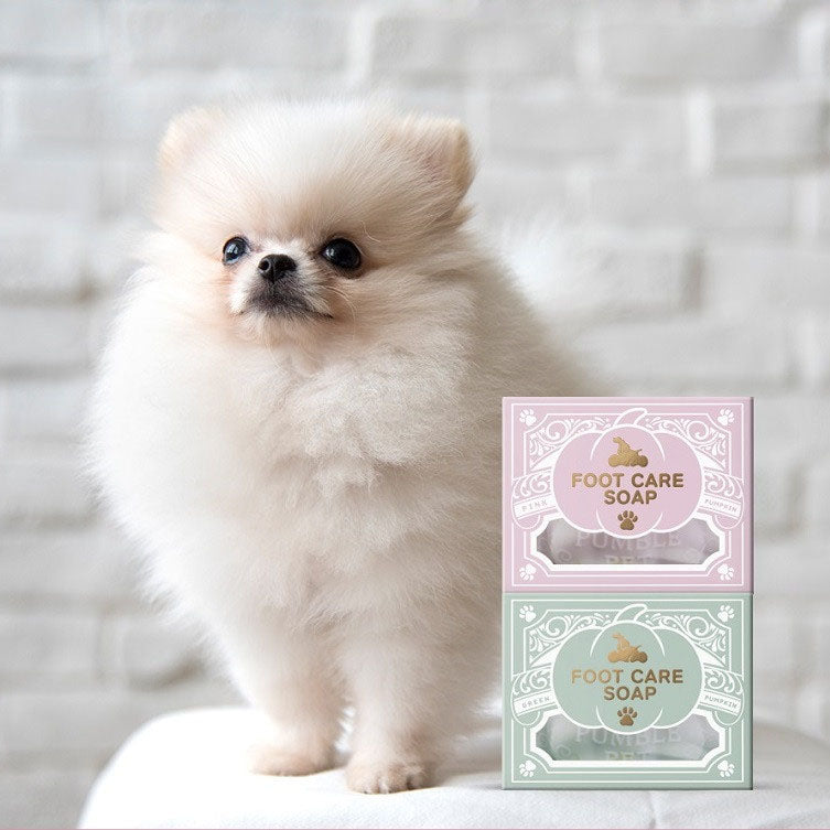 韓國PUMBLEPET