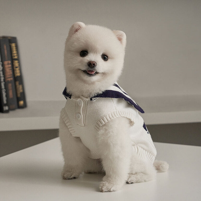 韓國新品上架【梨花娘總代理】🐾BAILEY 🐶秋冬新品 撞色海軍領雙口袋針織毛衣寵物服飾(2色)