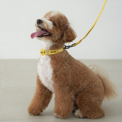 韓國新品上架【梨花娘總代理】🐾BAILEY 🐶秋冬新品 飽合亮色花朵微笑簡易款寵物項圈(4色)