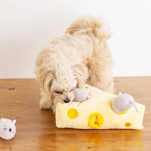 🌸新品上架【梨花娘總代理】🐾日本品牌Solgra🧀起司兩隻鼠鼠捉迷藏｜藏食嗅聞益智寵物玩具組