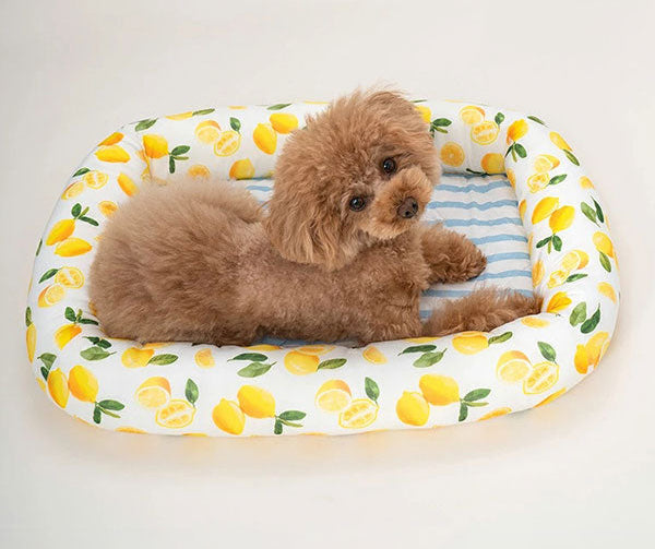 新品上架【梨花娘總代理】🐾日本品牌Solgra 🐶毛孩專用瞬冷降溫舒眠方型床墊/冰涼墊/U型舒眠枕(4色)