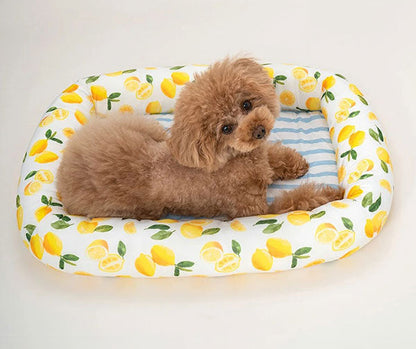 新品上架【梨花娘總代理】🐾日本品牌Solgra 🐶毛孩專用瞬冷降溫舒眠方型床墊/冰涼墊/U型舒眠枕(4色)