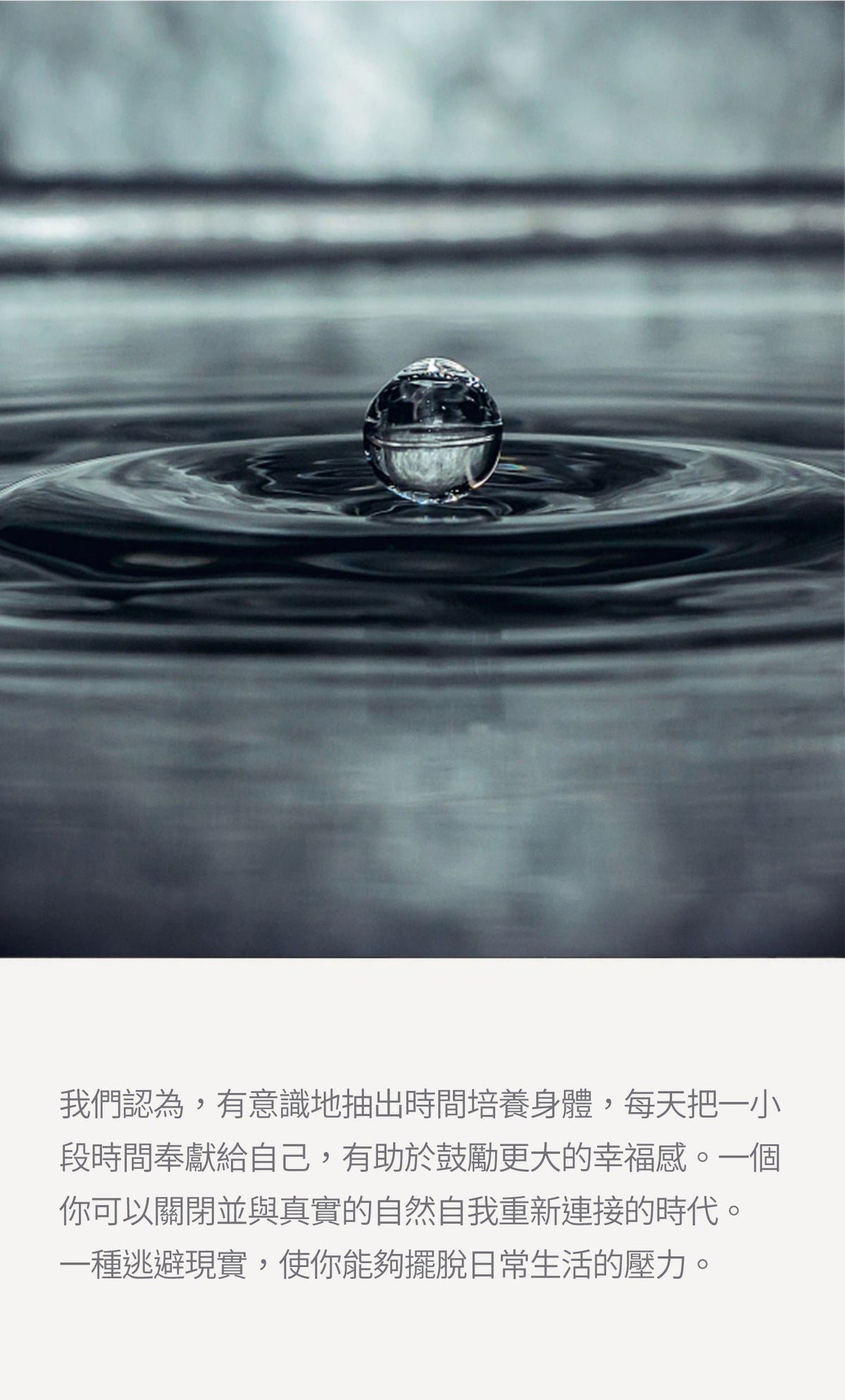 美國 Krramel 漸變長櫸木柄浴花系列 (現貨+預購)