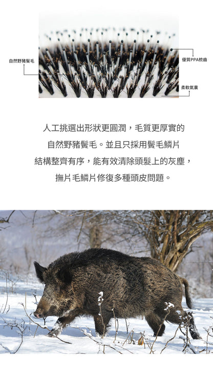 美國 Krramel 櫸木護髮猪鬃梳 (現貨+預購)