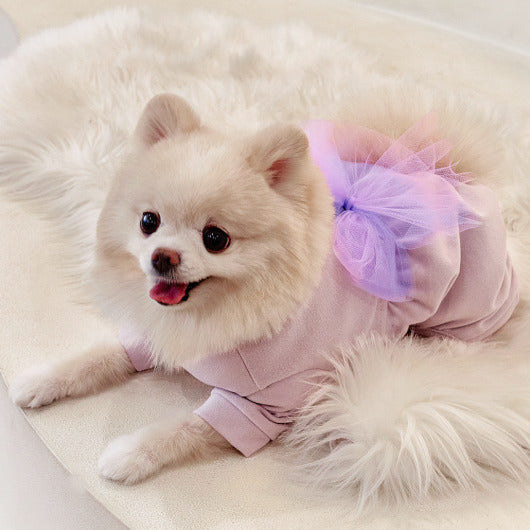 韓國新品上架【梨花娘總代理】🐾BAILEY 🐶韓系甜美夢幻澎澎大蝴蝶結別針(2色)