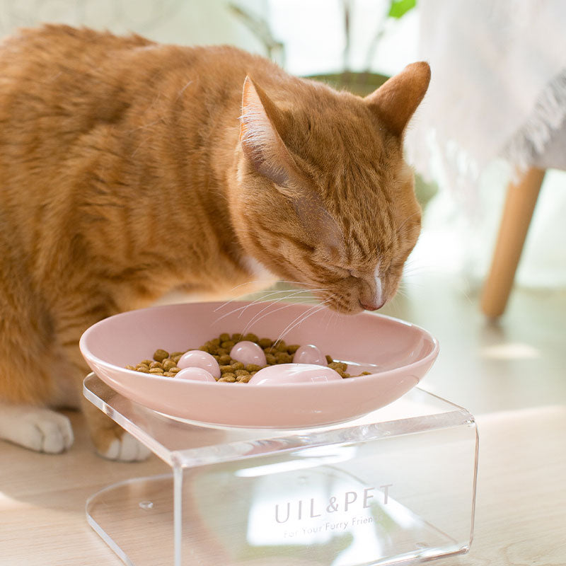 💜新品上架【梨花娘總代理】韓國專利品牌 UIL&amp;PET l 餐餐碗慢食碗｜防噎防吐・MINI系列・貓狗適用可搭配任何自動餵食器