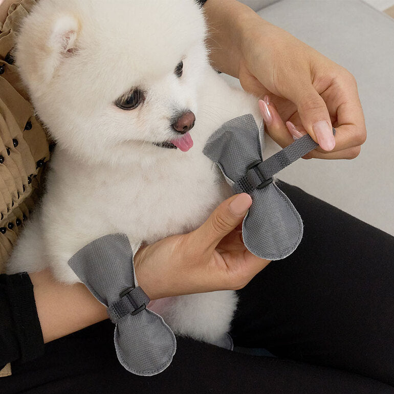 韓國新品上架【梨花娘總代理】🐾BAILEY 🐶簡約輕盈防水不掉鞋防護寵物健走鞋80入一盒(2色)