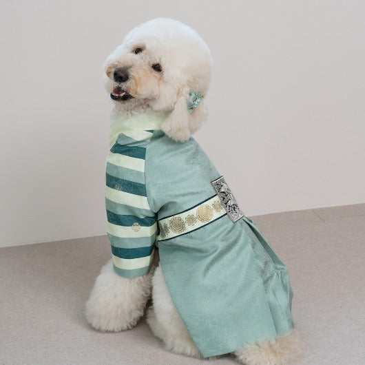 韓國新品上架【梨花娘總代理】🐾BAILEY 🐶秋冬新品 皇室尊貴刺繡流蘇寵物韓服(4色)