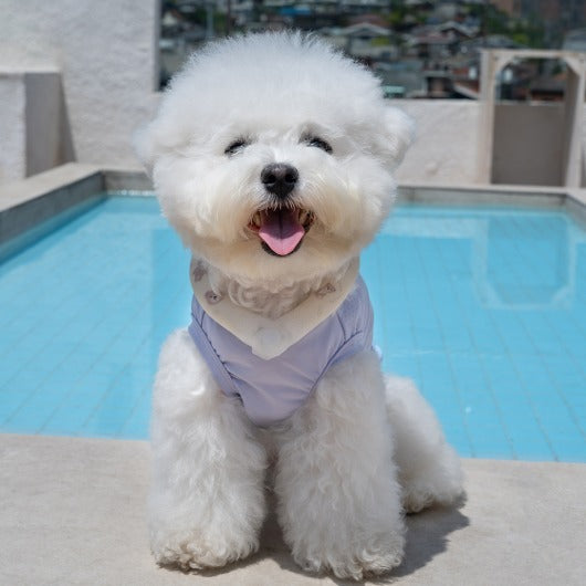 韓國BAILEY💖【梨花娘總代理】夏日必備菌菌掰掰輕薄快乾透氣水陸兩用寵物衣(帽子另購3色)