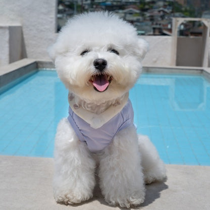 韓國BAILEY💖【梨花娘總代理】夏日必備菌菌掰掰輕薄快乾透氣水陸兩用寵物衣(帽子另購3色)