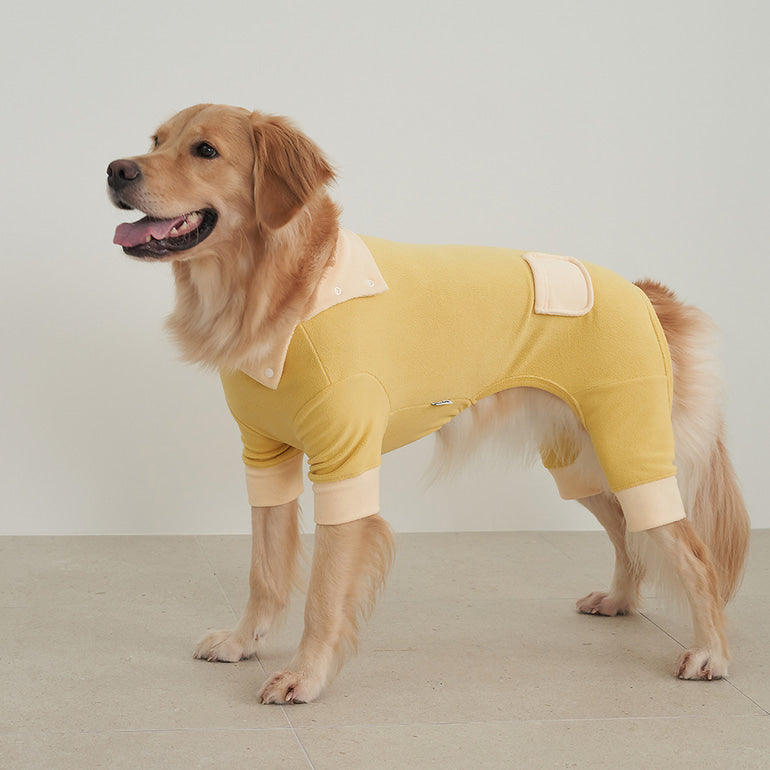 韓國新品上架【梨花娘總代理】🐾BAILEY 🐶秋冬新品 領口釦環設計一件式保暖細絨毛衣寵物服飾(3色)