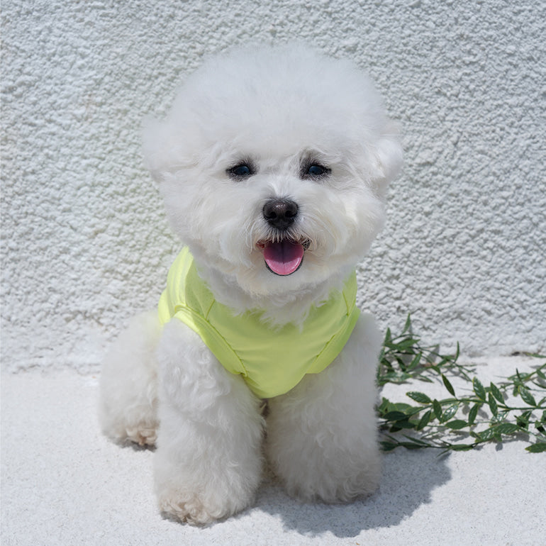 韓國BAILEY💖【梨花娘總代理】夏日必備菌菌掰掰輕薄快乾透氣水陸兩用寵物衣(帽子另購3色)