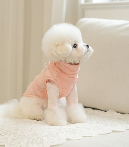 韓國新品上架【梨花娘總代理】🐾BAILEY 🐶秋冬新品 柔軟菌菌拜拜內襯防潑水高領設計保暖寵物服飾(3色)