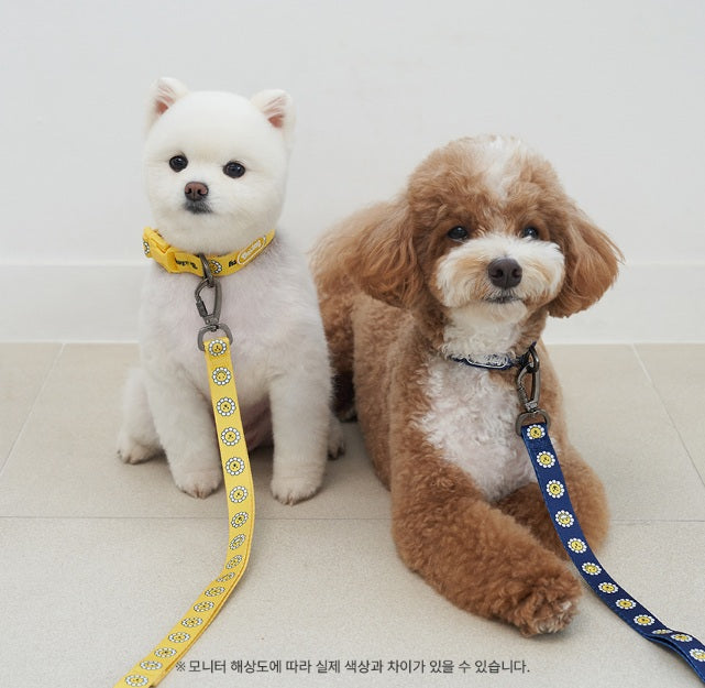 韓國新品上架【梨花娘總代理】🐾BAILEY 🐶秋冬新品 飽合亮色花朵微笑簡易款寵物項圈(4色)