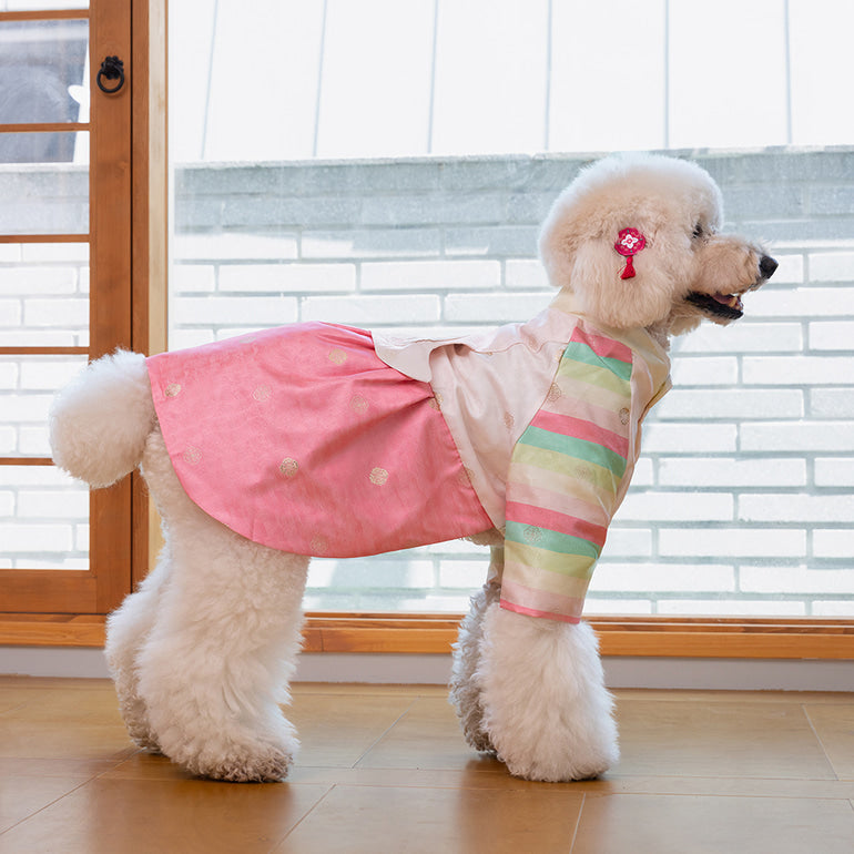 韓國新品上架【梨花娘總代理】🐾BAILEY 🐶秋冬新品 皇室公主刺繡百褶裙寵物韓服(2色)