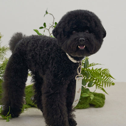 韓國新品上架【梨花娘總代理】🐾BAILEY 🐶秋冬新品 馬卡龍柔軟色系小熊圖案簡易款寵物項圈(3色)