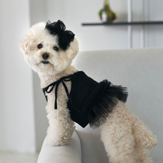 韓國新品上架【梨花娘總代理】🐾BAILEY 🐶秋冬新品 針織拼接蕾絲氣質優雅花朵芭蕾舞裙寵物服飾(2色)