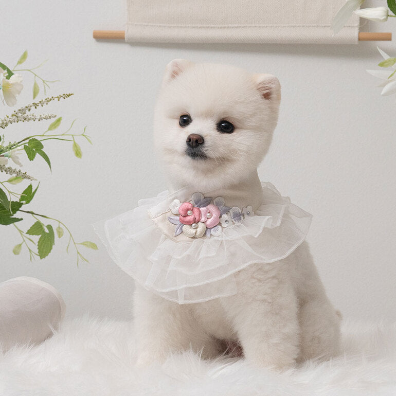 【梨花娘總代理】🐶 韓國BAILEY💖寵物品牌精緻婚紗夢幻領巾(現貨+預購)
