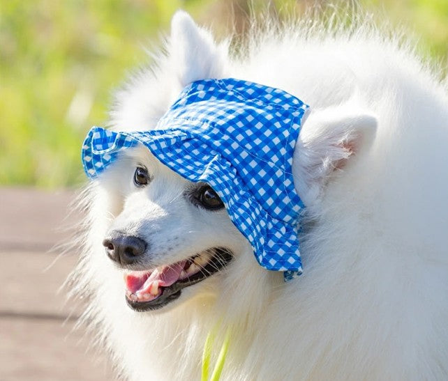 新品上架【梨花娘總代理】🐾日本品牌Solgra 🐶輕量避暑涼感萌耳遮陽寵物帽/冰涼圍脖(6款)
