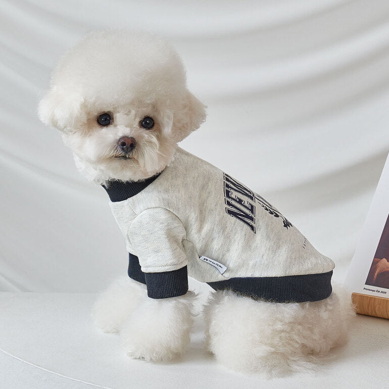 韓國新品上架【梨花娘總代理】🐾BAILEY 🐶秋冬新品 韓系潮流聯名休閒棉質寵物服飾(3色)