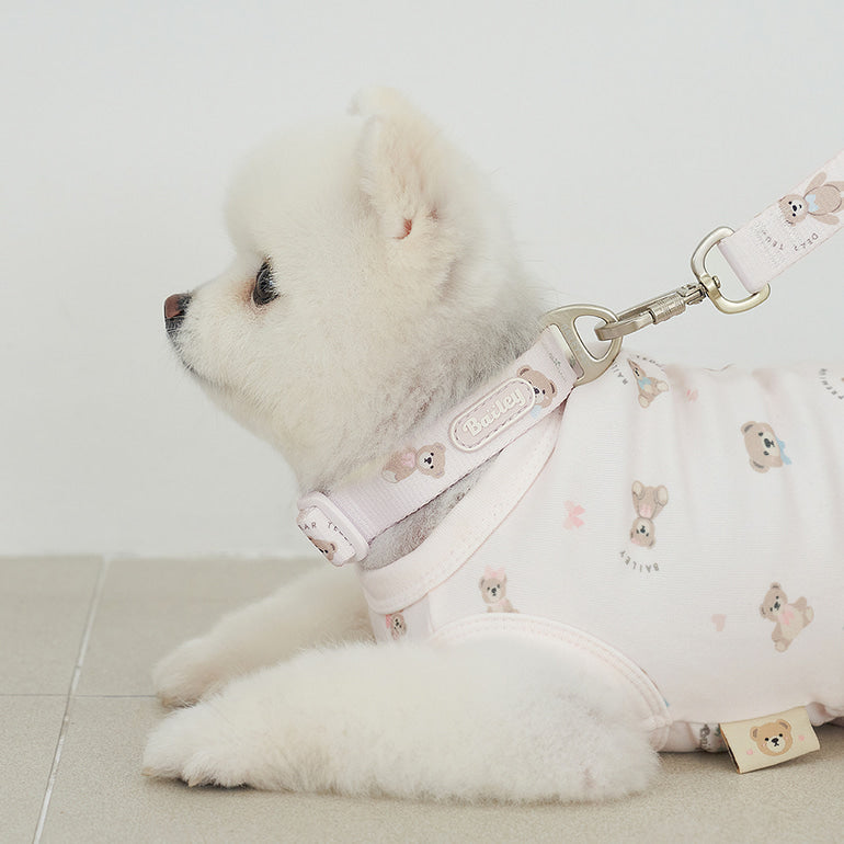 韓國新品上架【梨花娘總代理】🐾BAILEY 🐶秋冬新品 馬卡龍柔軟色系小熊圖案簡易款寵物項圈(3色)