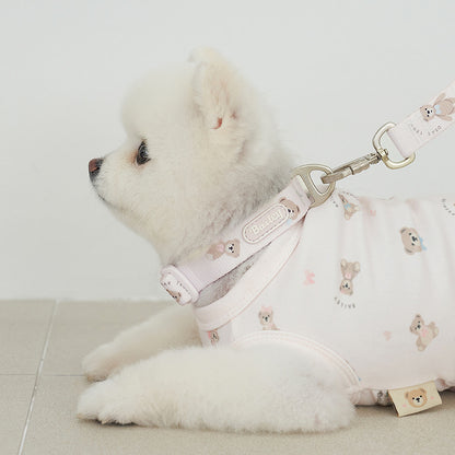 韓國新品上架【梨花娘總代理】🐾BAILEY 🐶秋冬新品 馬卡龍柔軟色系小熊圖案簡易款寵物項圈(3色)
